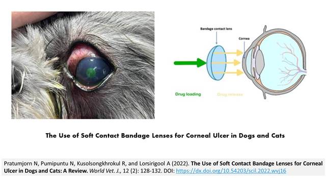 148-Soft_Contact_Bandage_Lenses_for_Corneal_Ulcer