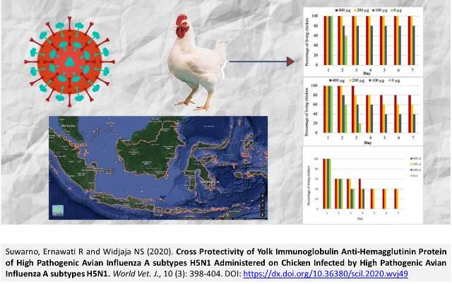 1217-Avian_Influenza_A_subtypes_H5N1