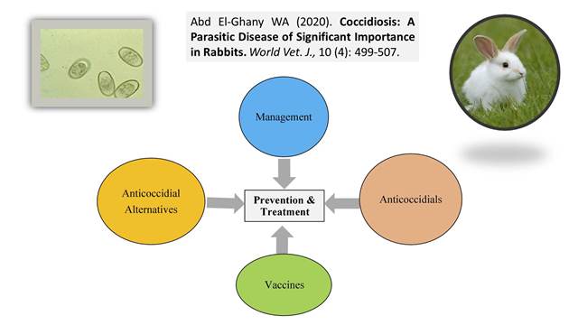 1260-7--Coccidiosis_in_Rabbits--