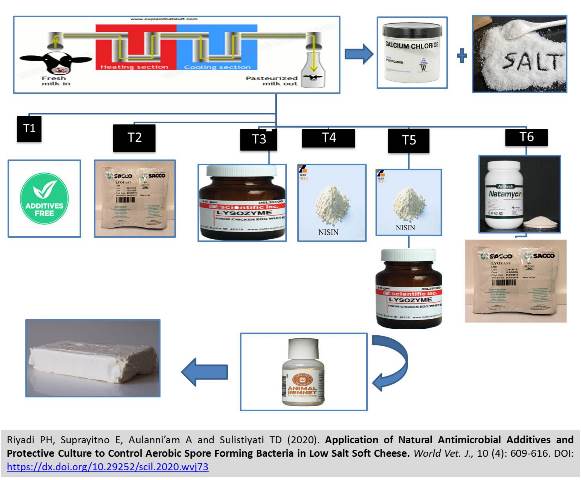 1303-Bacteria_in_Low_Salt_Soft_Cheese