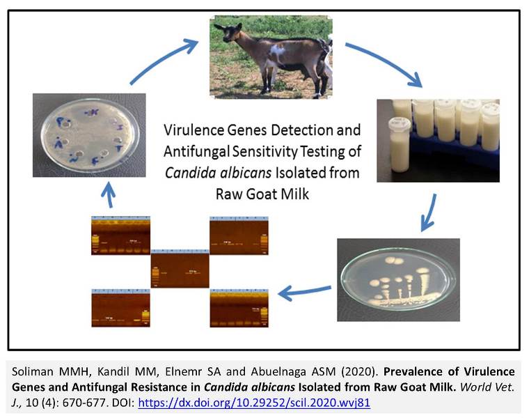 1321-Candida_albicans_in_Raw_Goat_Milk