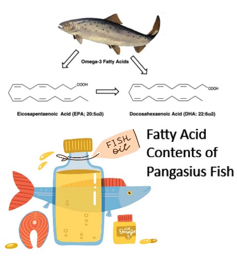 1400-22-Lysin_on_Pangasius_Fish