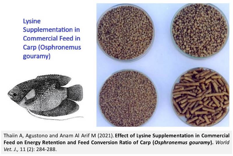 1400-12-Lysine_in_Commercial_Feed_on_Carp