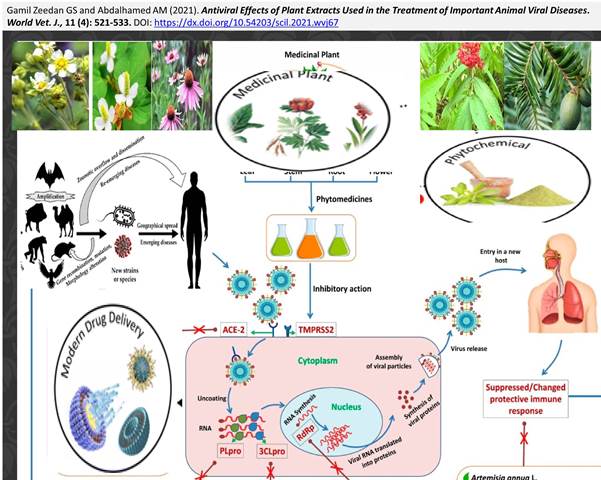 19001_Plant_Extracts