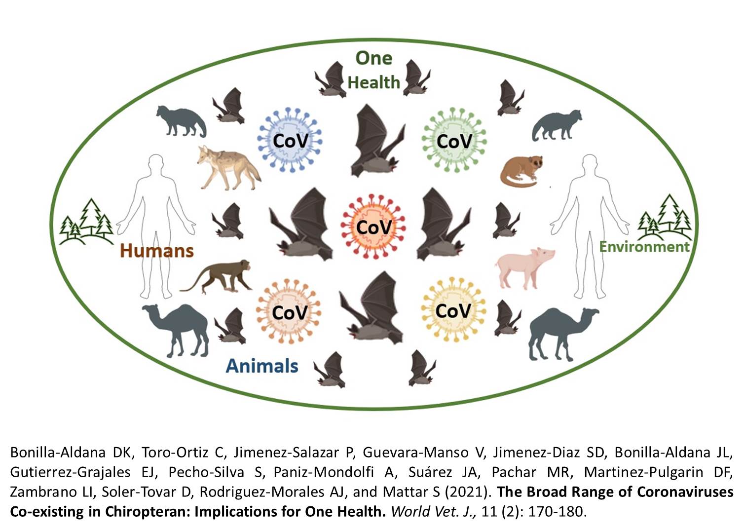 45-The_Broad_Range_of_Coronaviruses_Co-existing_in_Chiropteran