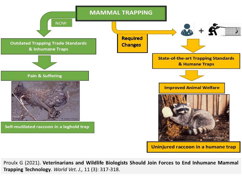 48-_Inhumane_Mammal_Trapping_Technology