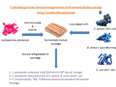 63-Food_Poisoning_Bacteria