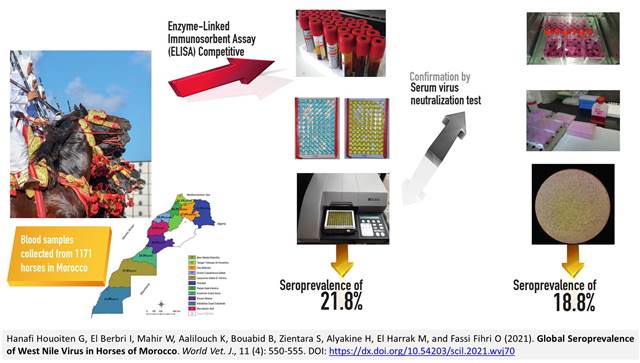 92-Seroprevalence_of_West_Nile_Virus_in_Horses
