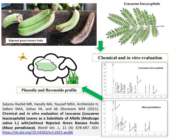 95-Leucaena_Leaves_with_Green_Banana