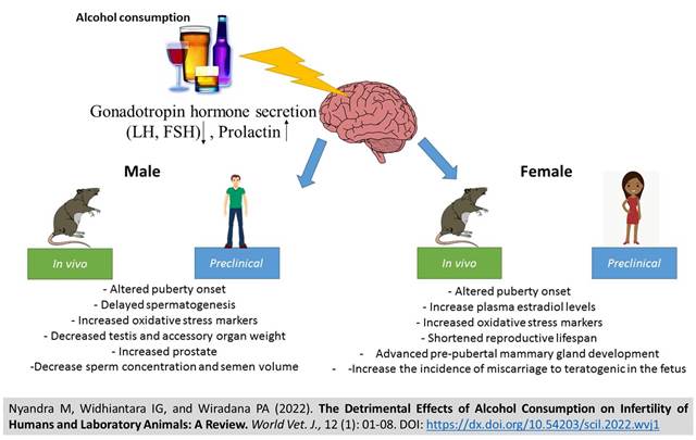 101-Alcohol_Consumption