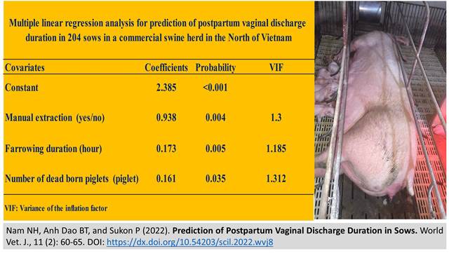 106-_Postpartum_Vaginal_Discharge_Duration_in_Sows