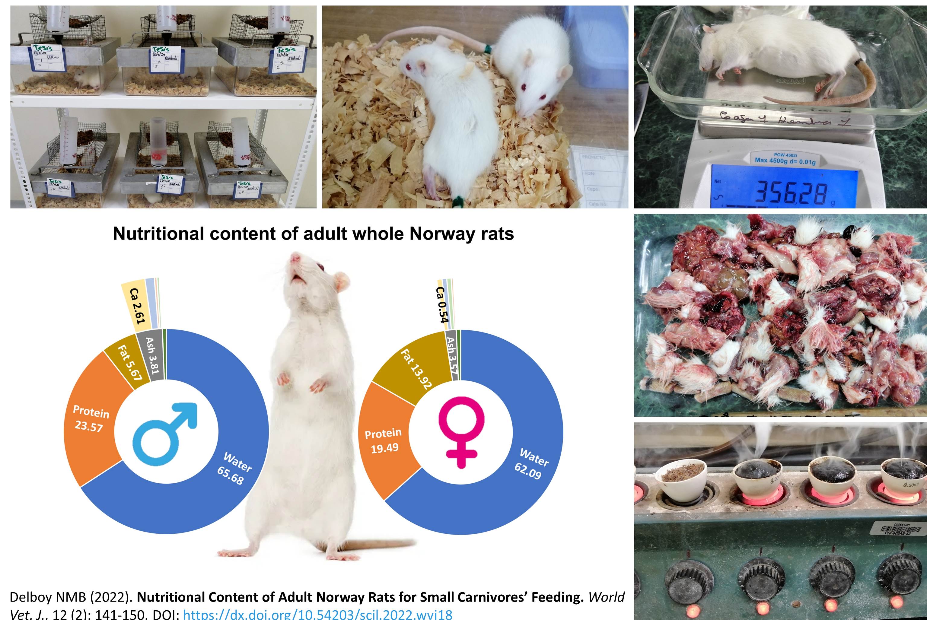 Volume 12 : Issue 2, June 2022 - Methods For Combined Rat Feeding Trials