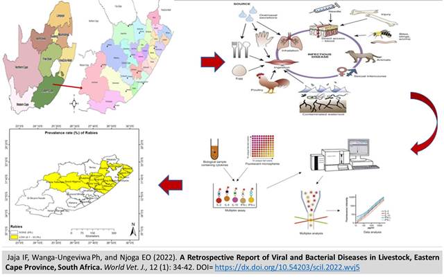 1351-_Viral_and_Bacterial_Diseases