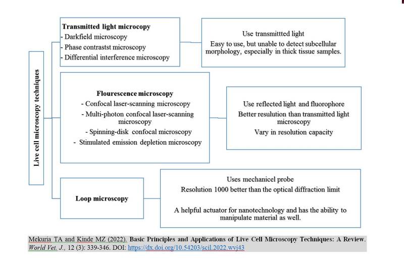 155_j1-_Live_Cell_Microscopy_Techniques