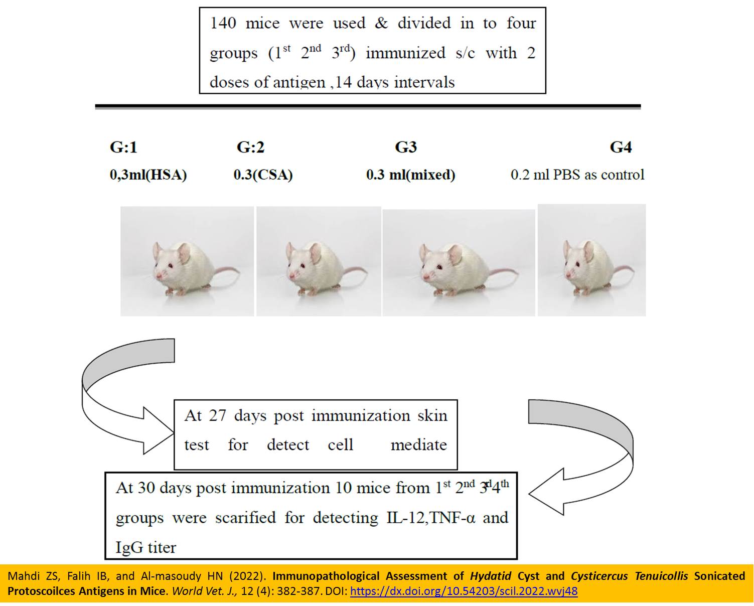 1900-21-Hydatid_Cyst_and_Cysticercus_Tenuicollis_Sonicated_Protoscoilces_Antigens_in_Mice_-_Copy