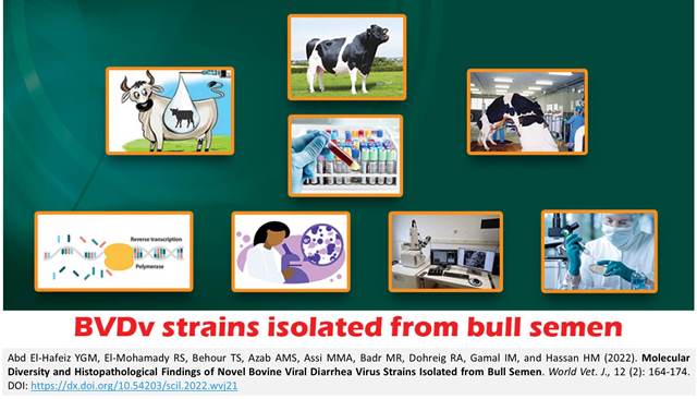 Novel_Bovine_Diarrhea_Virus_Strains_from_Bull_Semen-129-