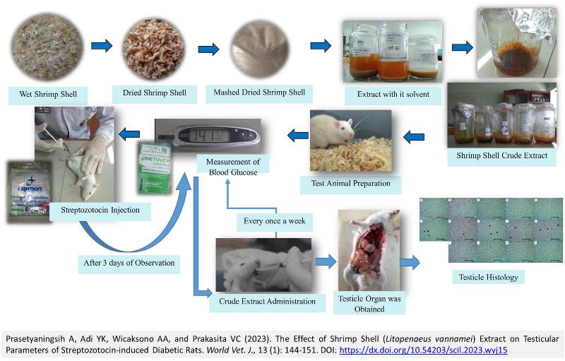 189-Shrimp_Shell_Extract_on_Diabetic_Rats