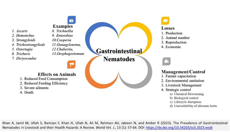 190024Gastrointestinal_Nematodes_in_Livestock