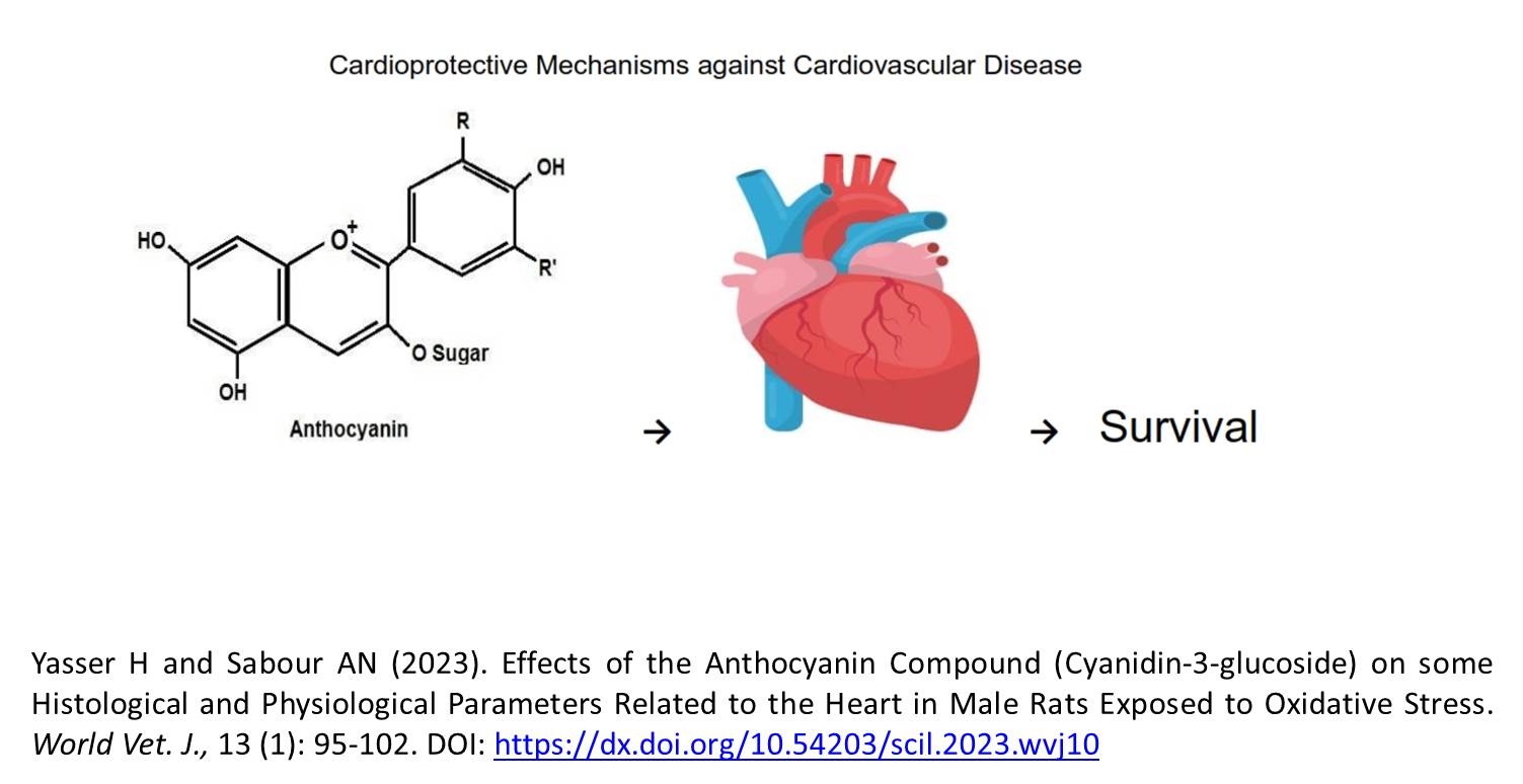 wvj-1900x15-the_Anthocyanin_Compound_Cyanidin-3-glucoside_on_Male_Rats_Exposed_to_Oxidative_Stress
