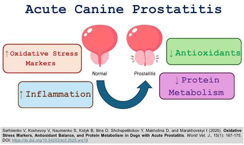 1383-Oxidative_Stress_in_Dogs