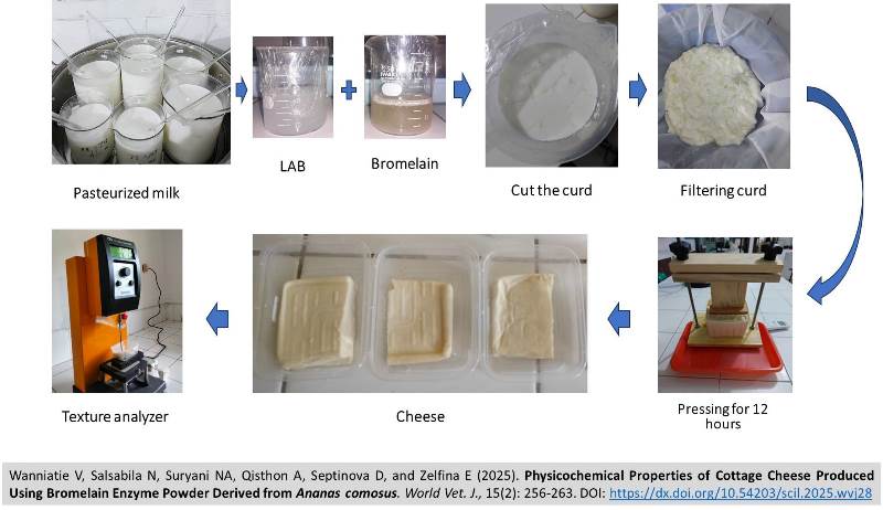 447-Cottage_Cheese