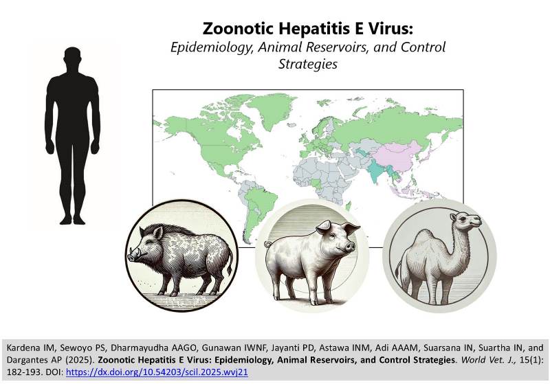 451-Hepatitis_E