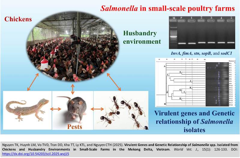 519-Salmonella_spp_and_Virulent_Genes