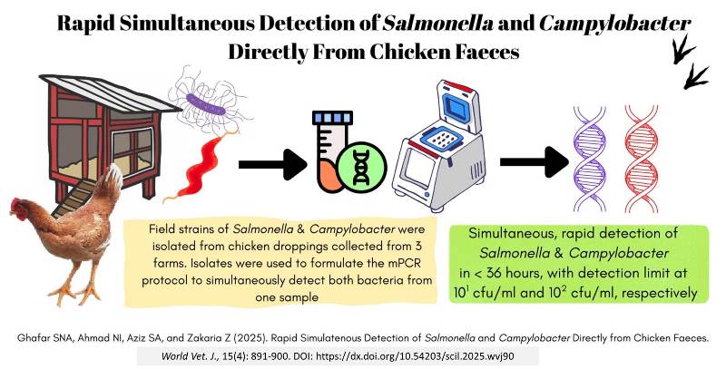 538-Rapid_Simultaneous_Detection