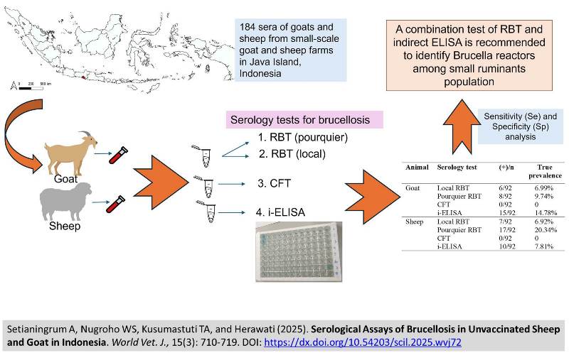 548-Serological_Assays_of_Brucellosis