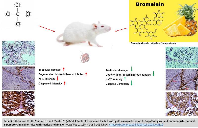 631-bromelain_loaded_with_gold_nanoparticles