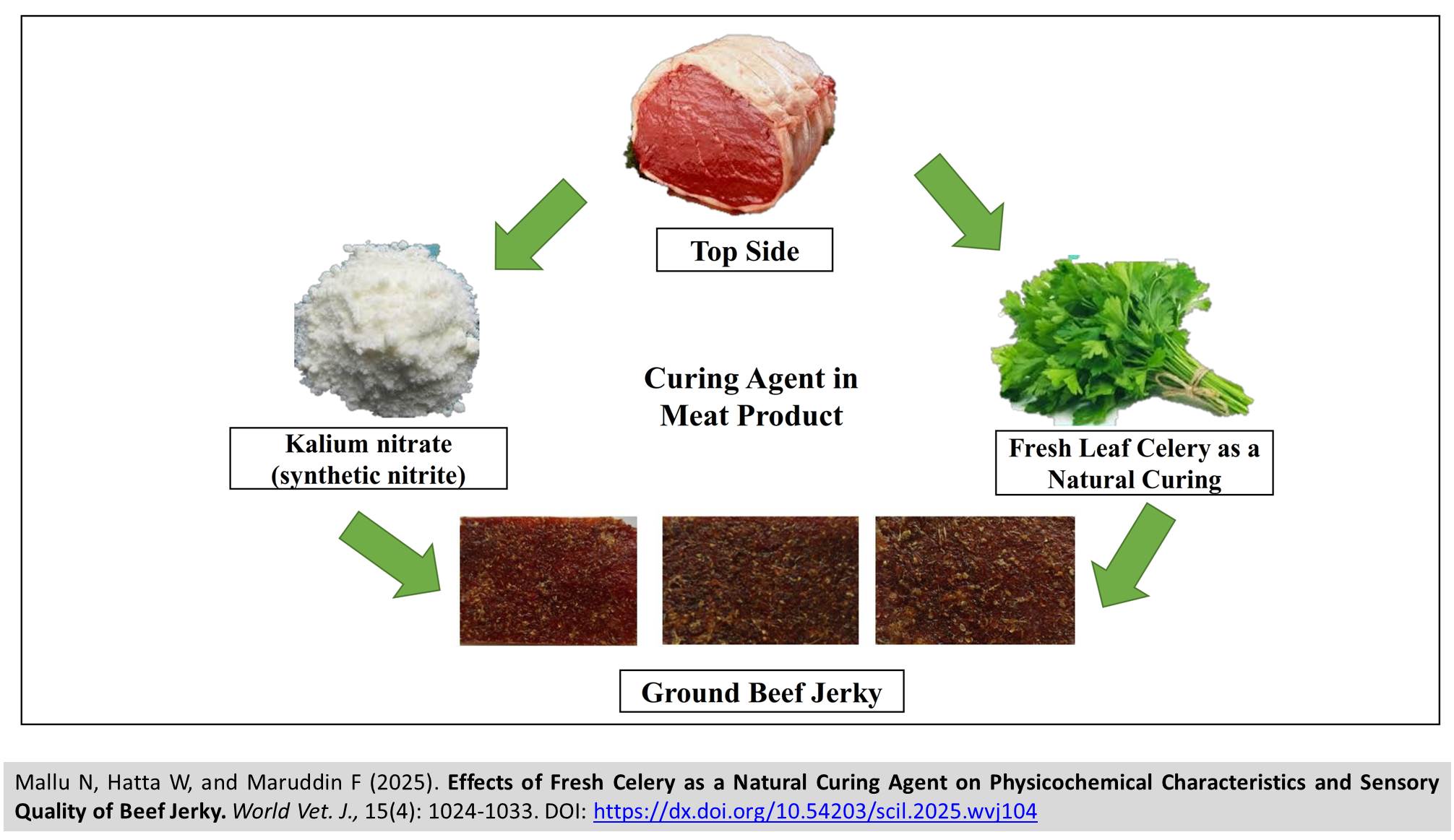 691-Effects_of_Fresh_Celery_as_a_Natural_Curing_Agent_on_Beef_Jerky