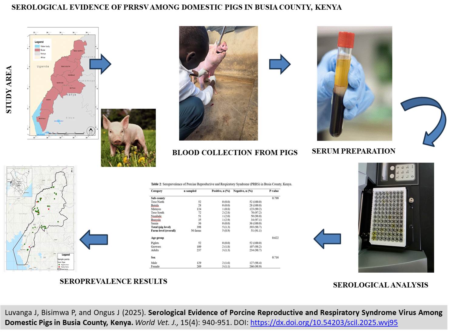 713-Porcine_Reproductive_and_Respiratory_Syndrome_Virus_Among_Domestic_Pigs