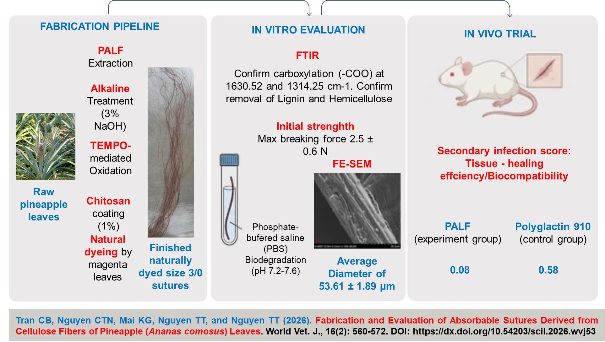 1900-96-Absorbable_Sutures_Derived_from_Cellulose_Fibers_of_Pineapple_Ananas_comosus_Leaves