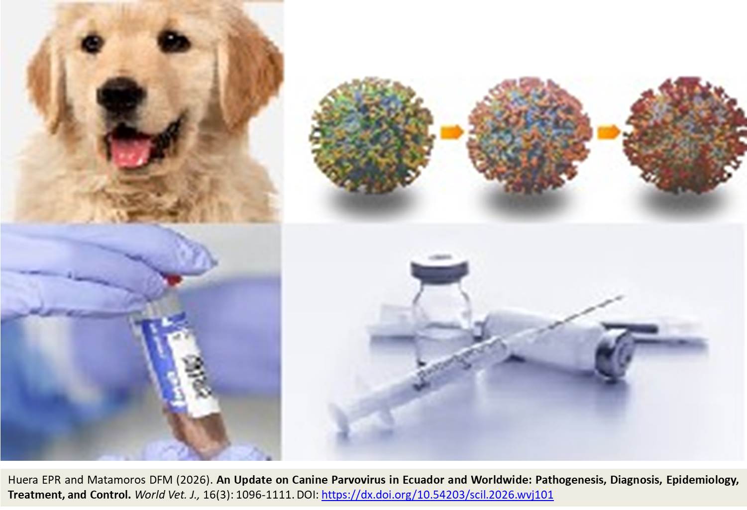 1900-99--Canine Parvovirus in Ecuador and Worldwide