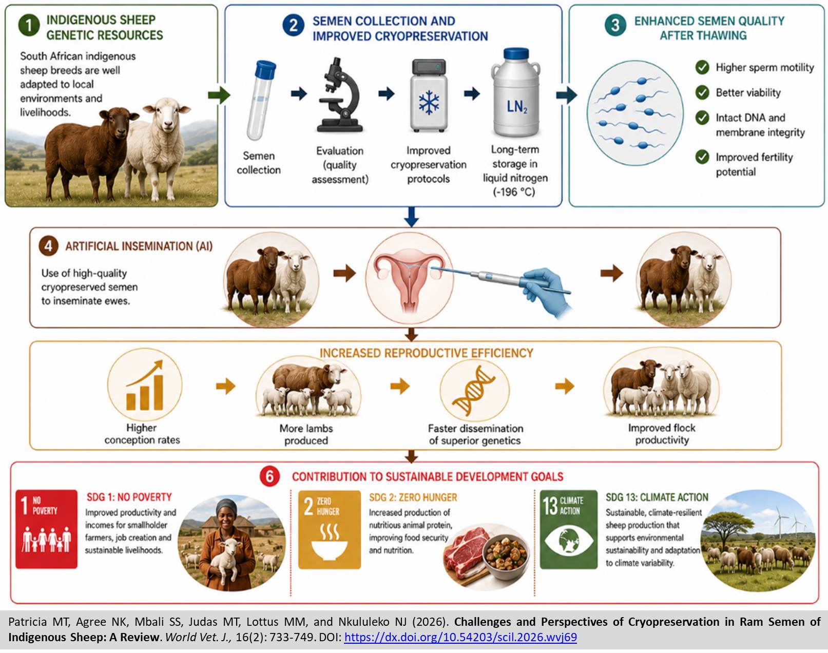 644-Cryopreservation_in_Ram_Semen_of_Indigenous_Sheep