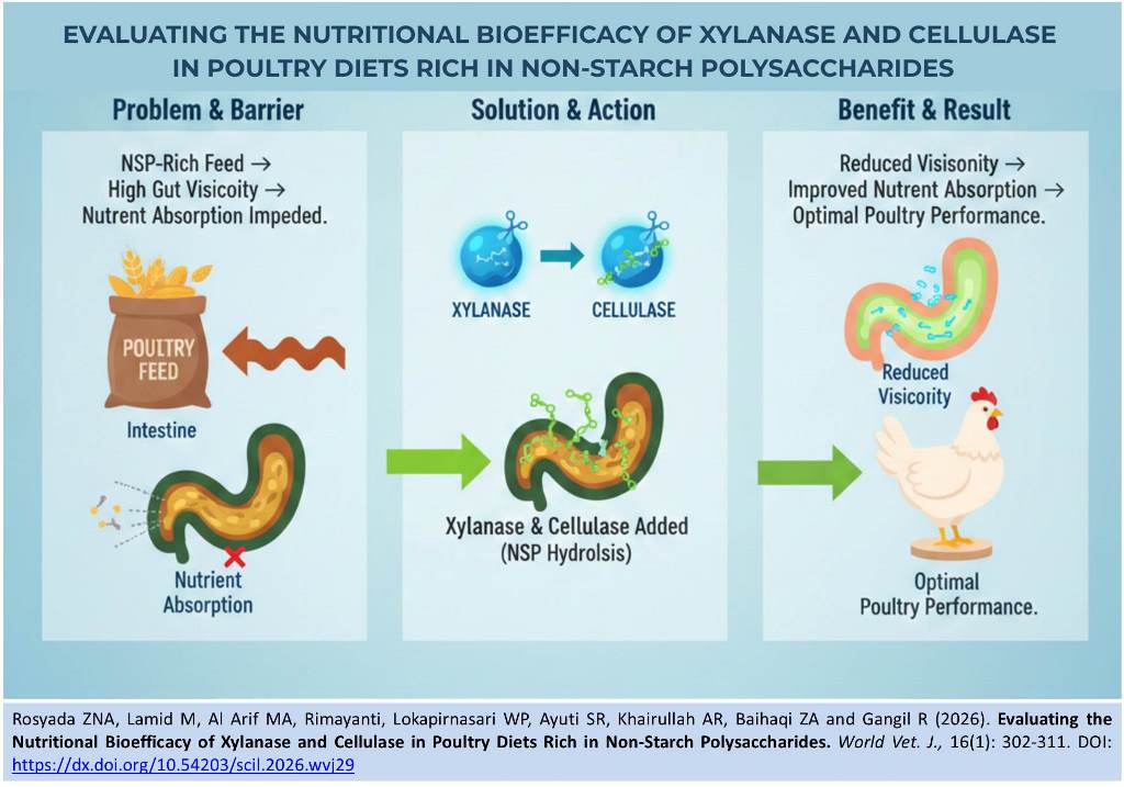 656-xylanase_and_cellulase_in_poultry_diets