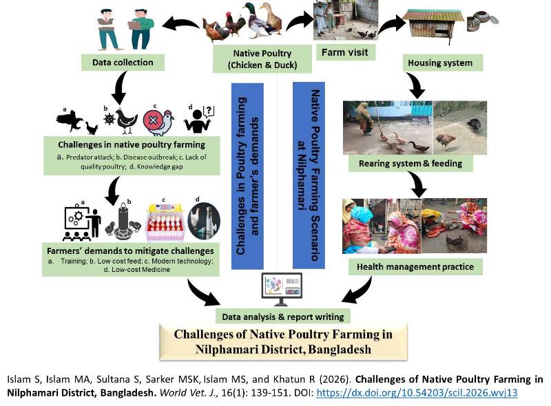681-native_poultry_farming