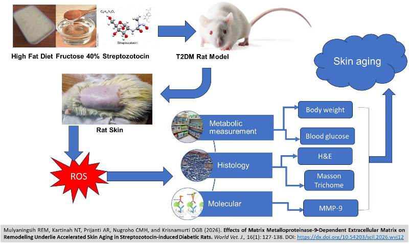 737-Metalloproteinase-9-Dependent