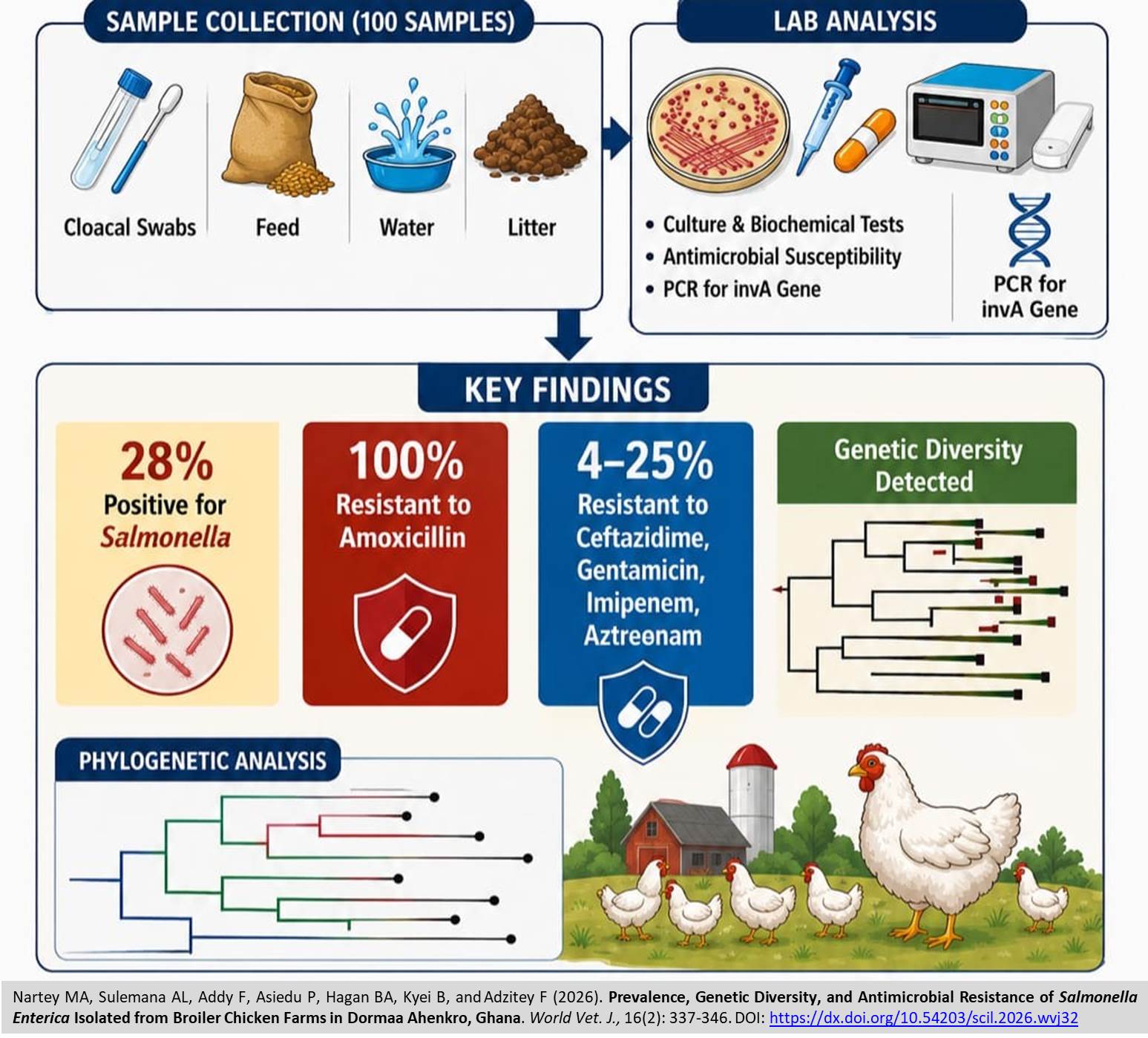 786-Salmonella_Enterica__Ghana