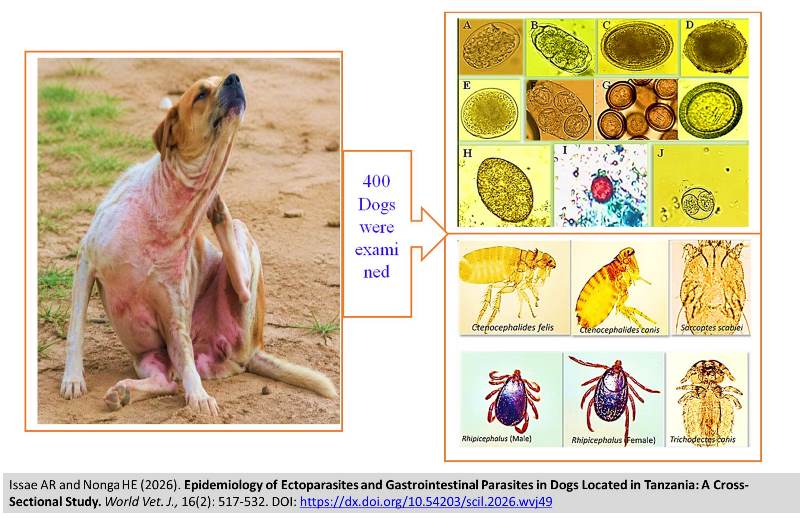 807-Gastrointestinal_Parasites_in_Dogs