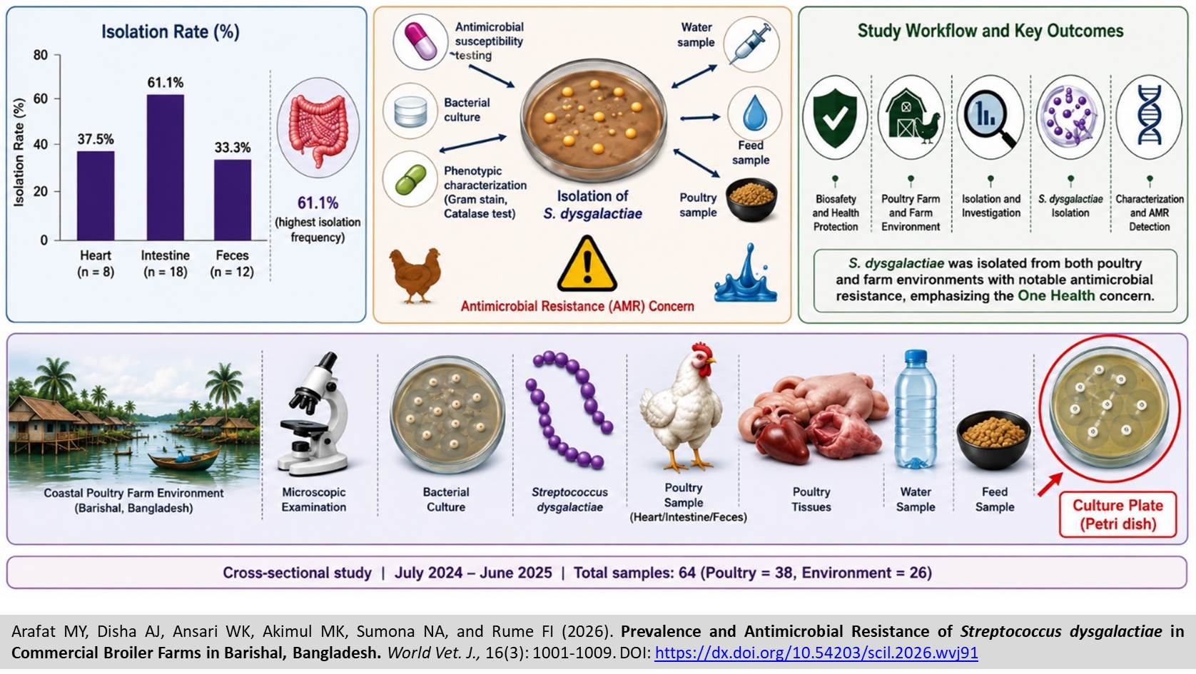 813-Streptococcus dysgalactiae in Commercial Broiler Farms in Bangladesh
