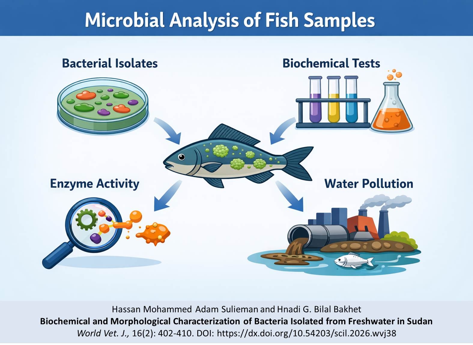 816-Bacteria_Isolated_from_Freshwater_in_Sudan