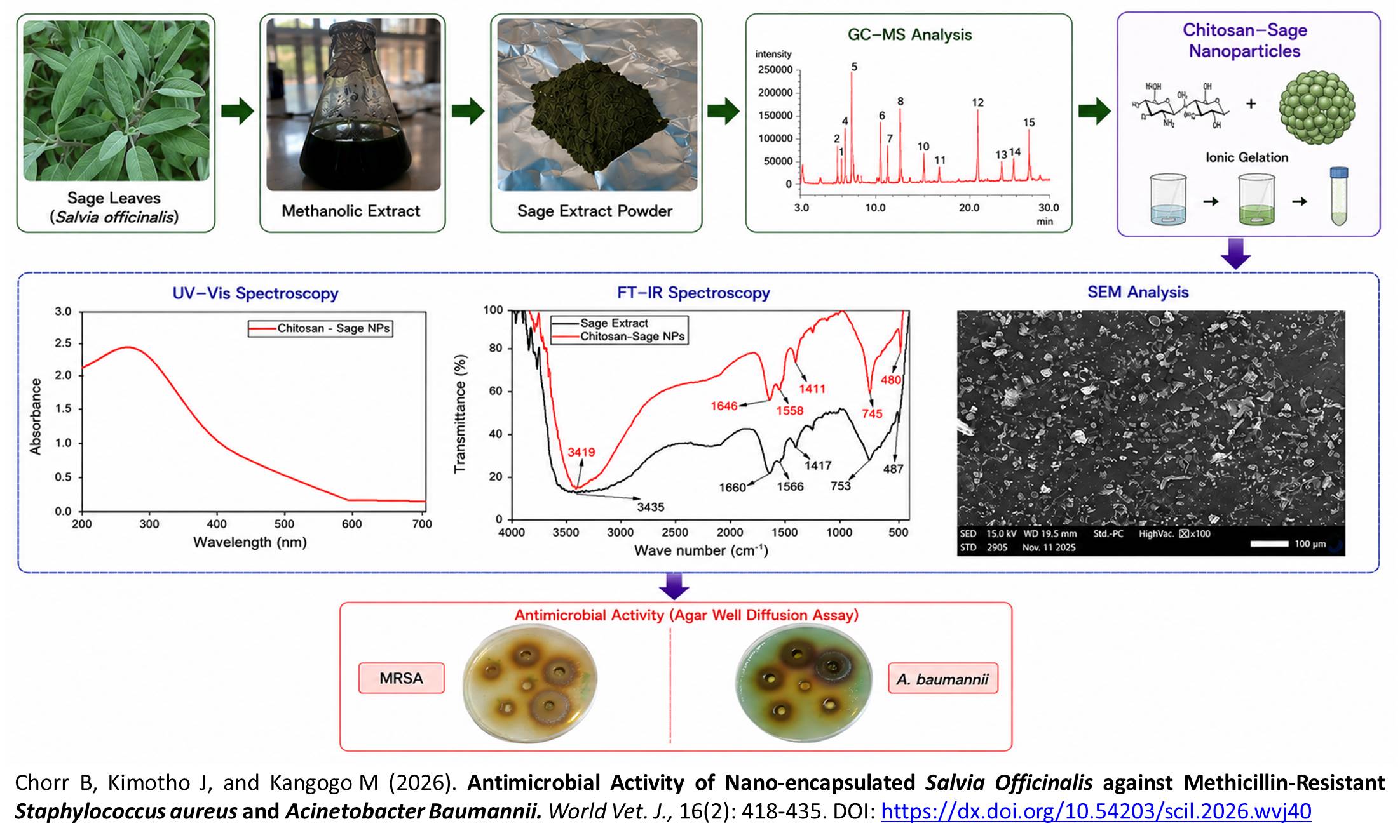 822-Nano-encapsulated_Salvia_Officinalis_against_Methicillin-Resistant_Staphylococcus_aureus_and_Acinetobacter_Baumannii