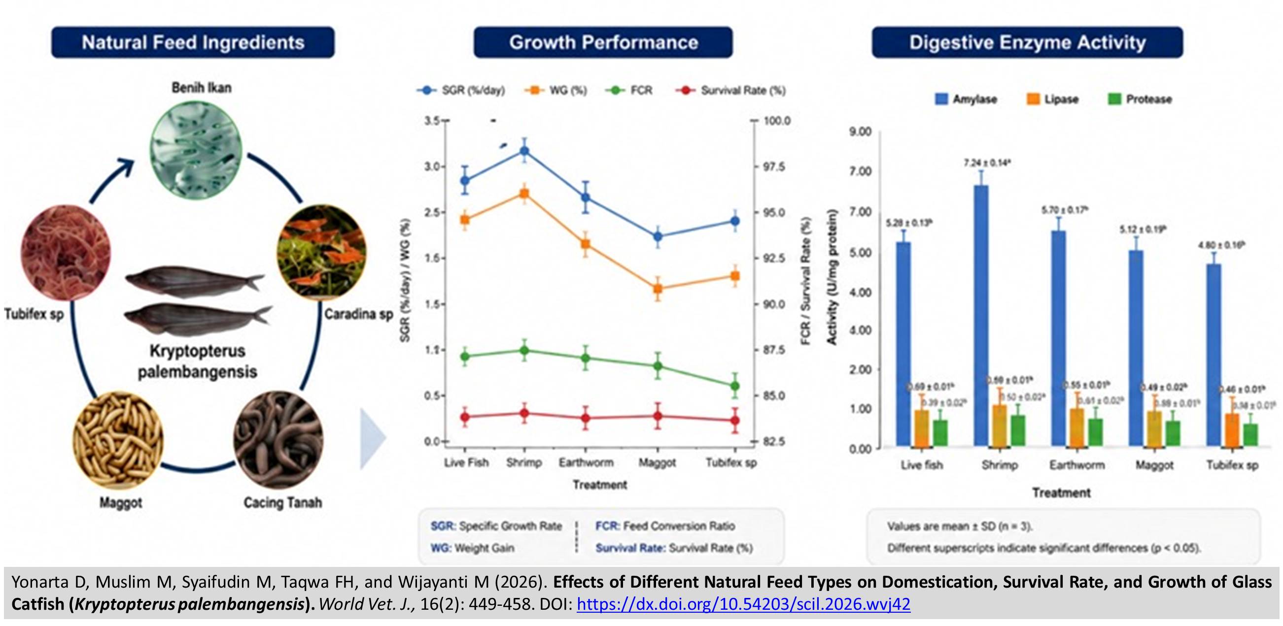 833-Survival_Rate_and_Growth_of_Glass_Catfish_Kryptopterus_palembangensis