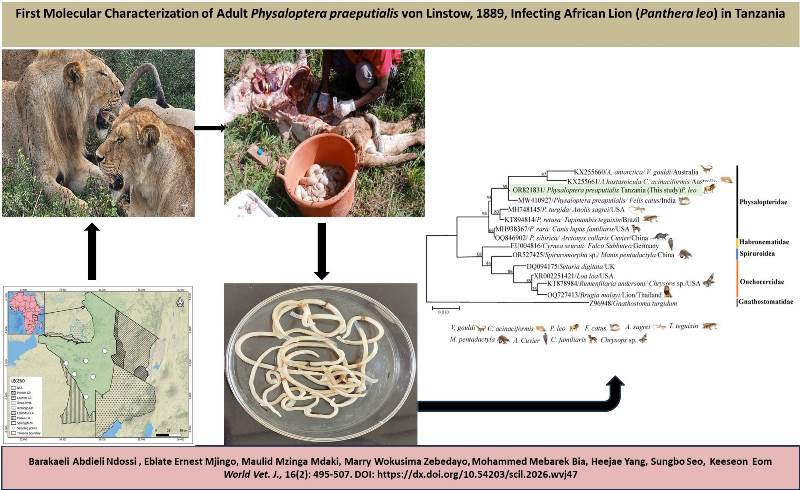 840-African_Lion_Panthera_leo_in_Tanzania