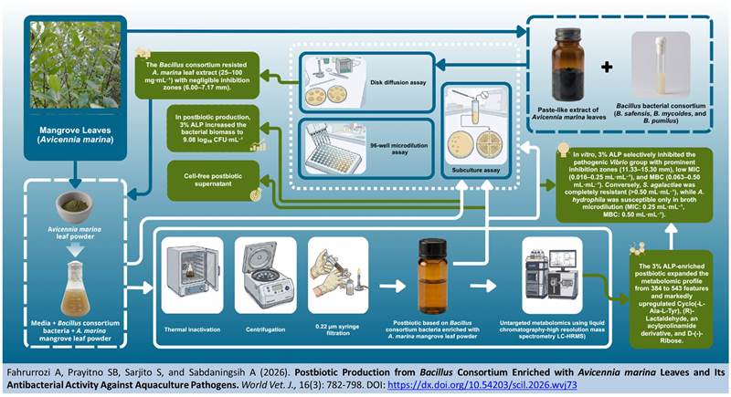 857-Bacillus_Consortium_and_Avicennia_marina