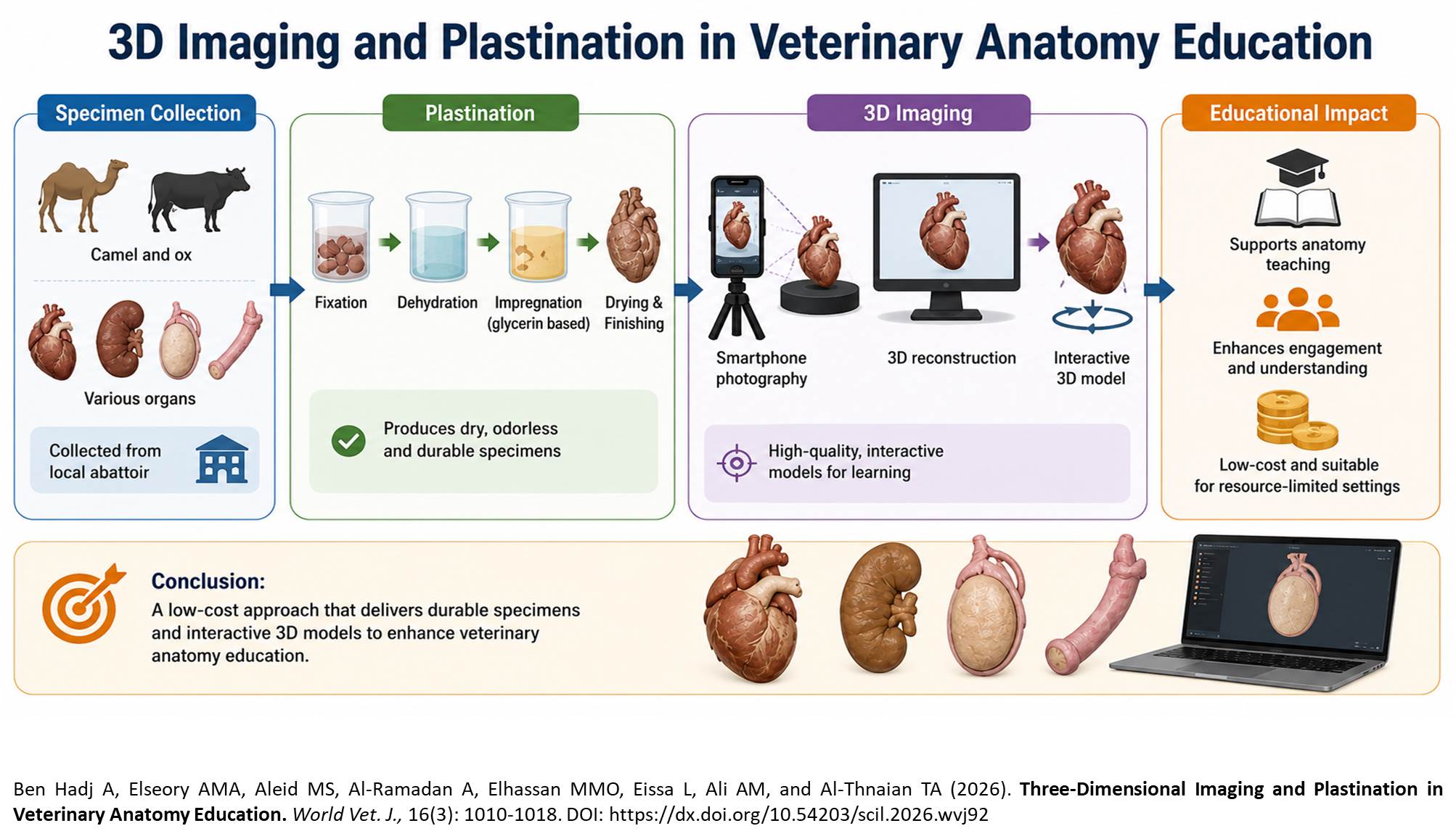 873-Three-Dimensional Imaging and Plastination in Veterinary Anatomy Education
