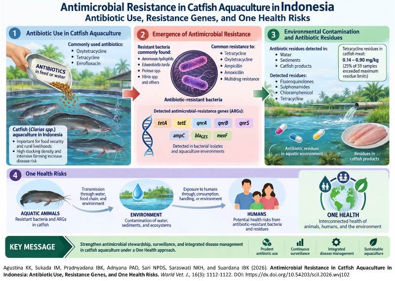 933-Catfish Aquaculture