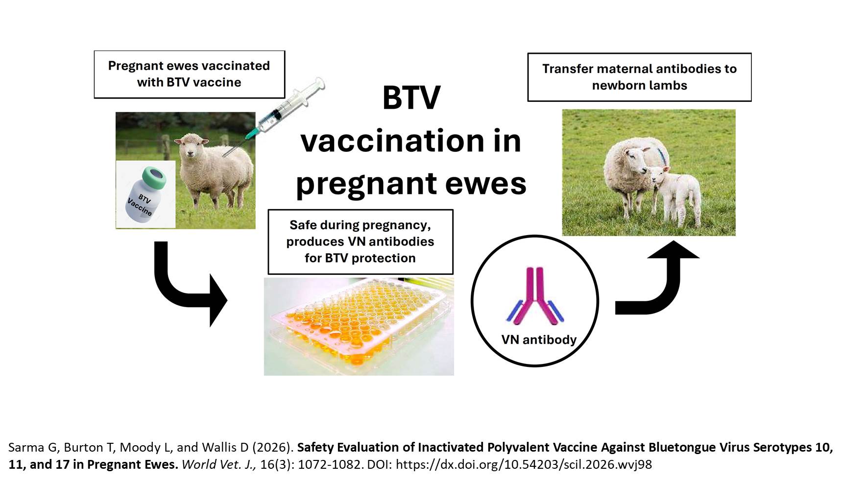 957-_Bluetongue_Virus_Serotypes_in_Pregnant_Ewes